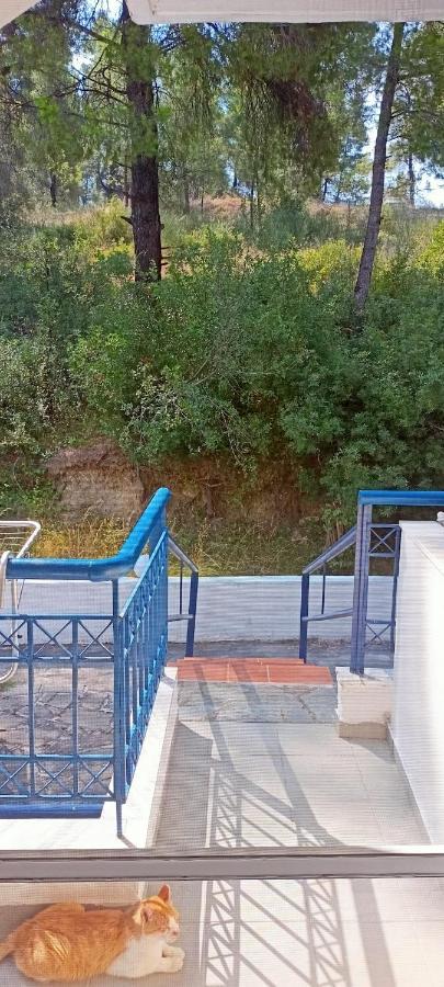 Siviri Sea & Forest-Cozy Apartment With Garden & Nature Views Exterior foto